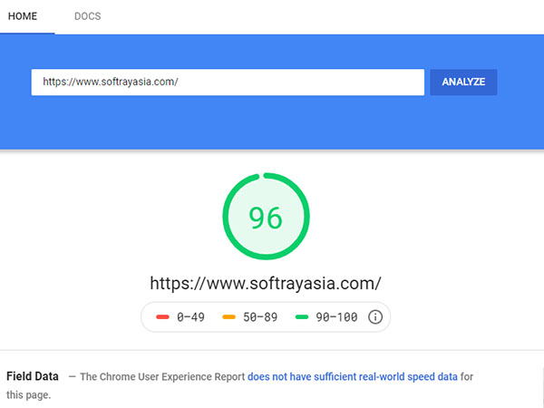 Google PSI for Softray